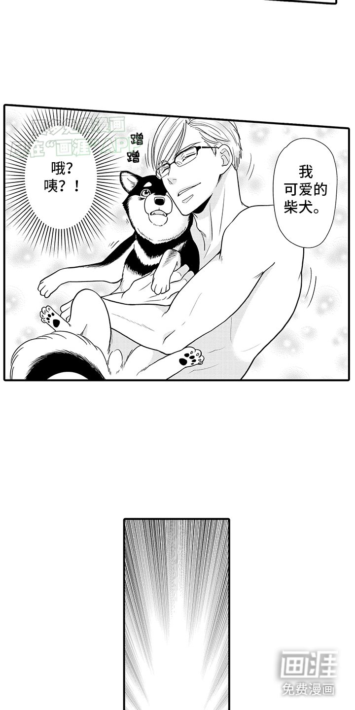 第8章：变回狗狗