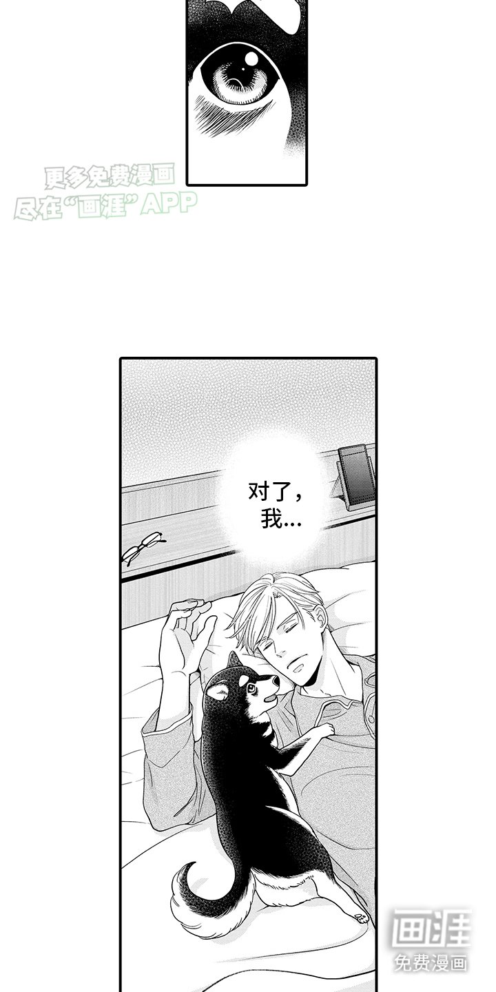第8章：变回狗狗