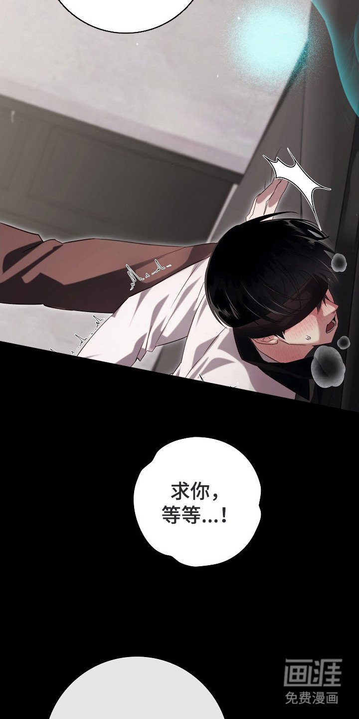 第1章：二次分化