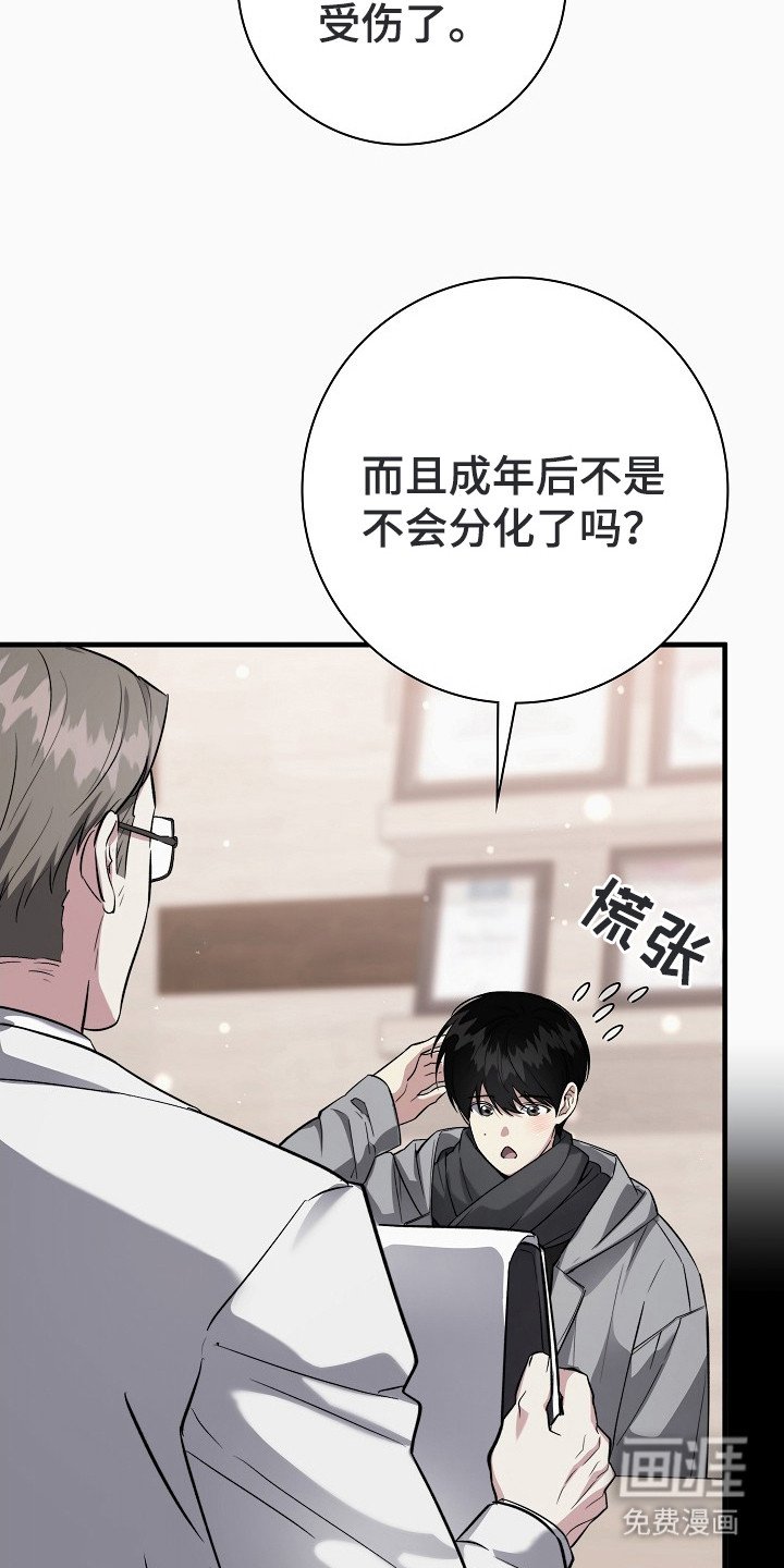 第1章：二次分化