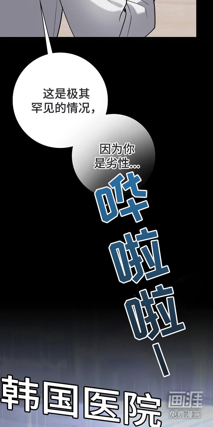 第1章：二次分化