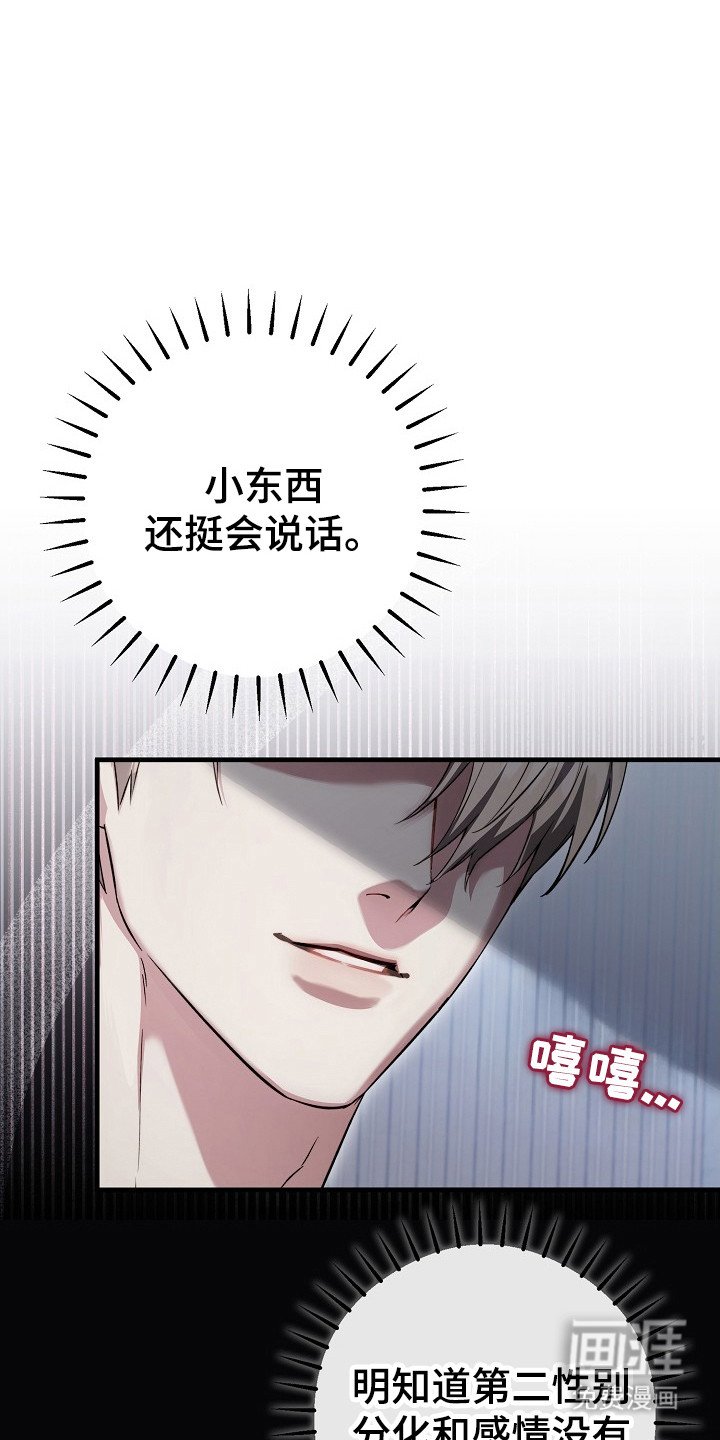 第13章：说实话