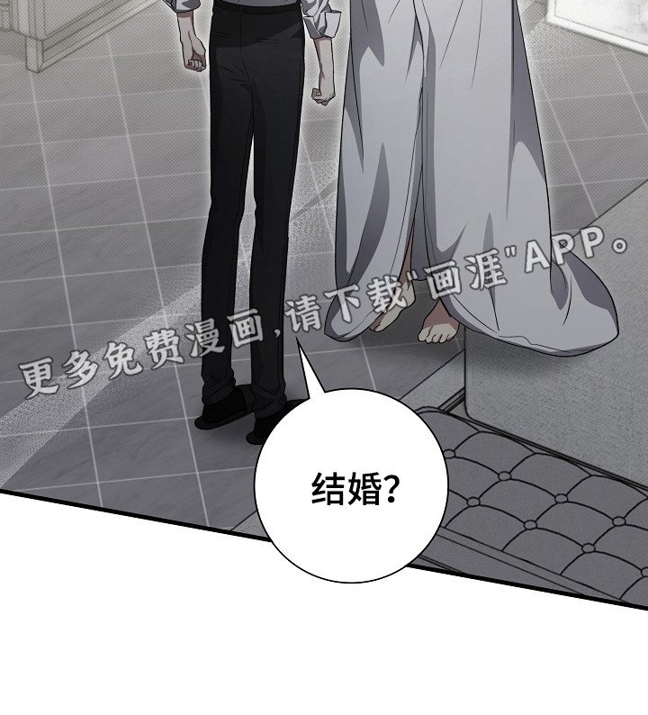 第13章：说实话