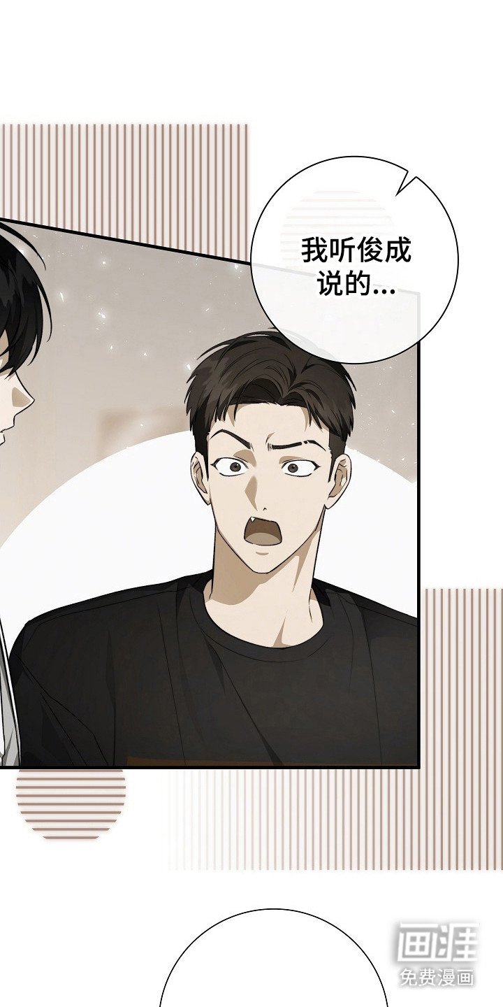 第13章：说实话