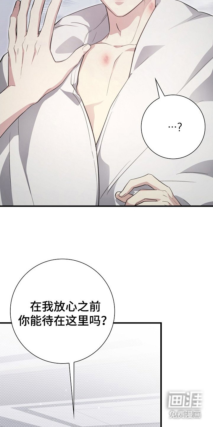 第13章：说实话