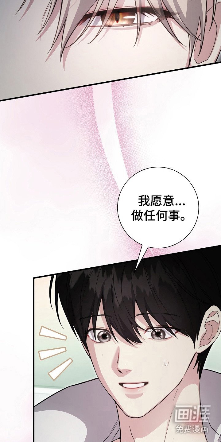 第13章：说实话