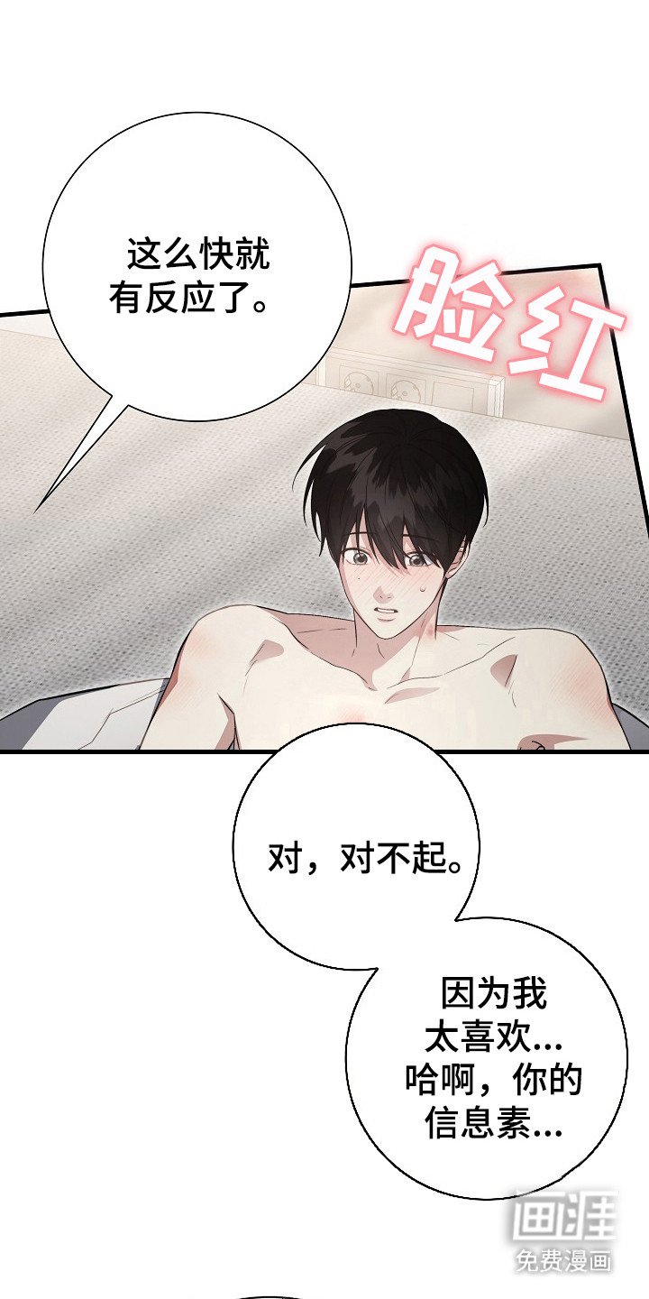 第13章：说实话
