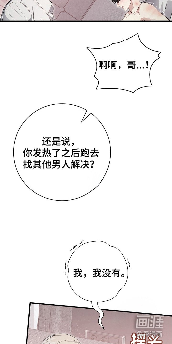 第13章：说实话