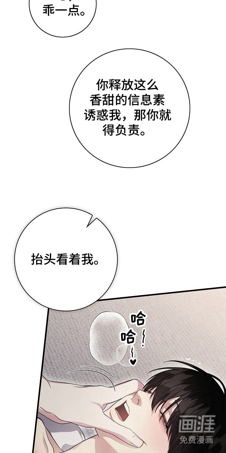 第14章：香甜味道