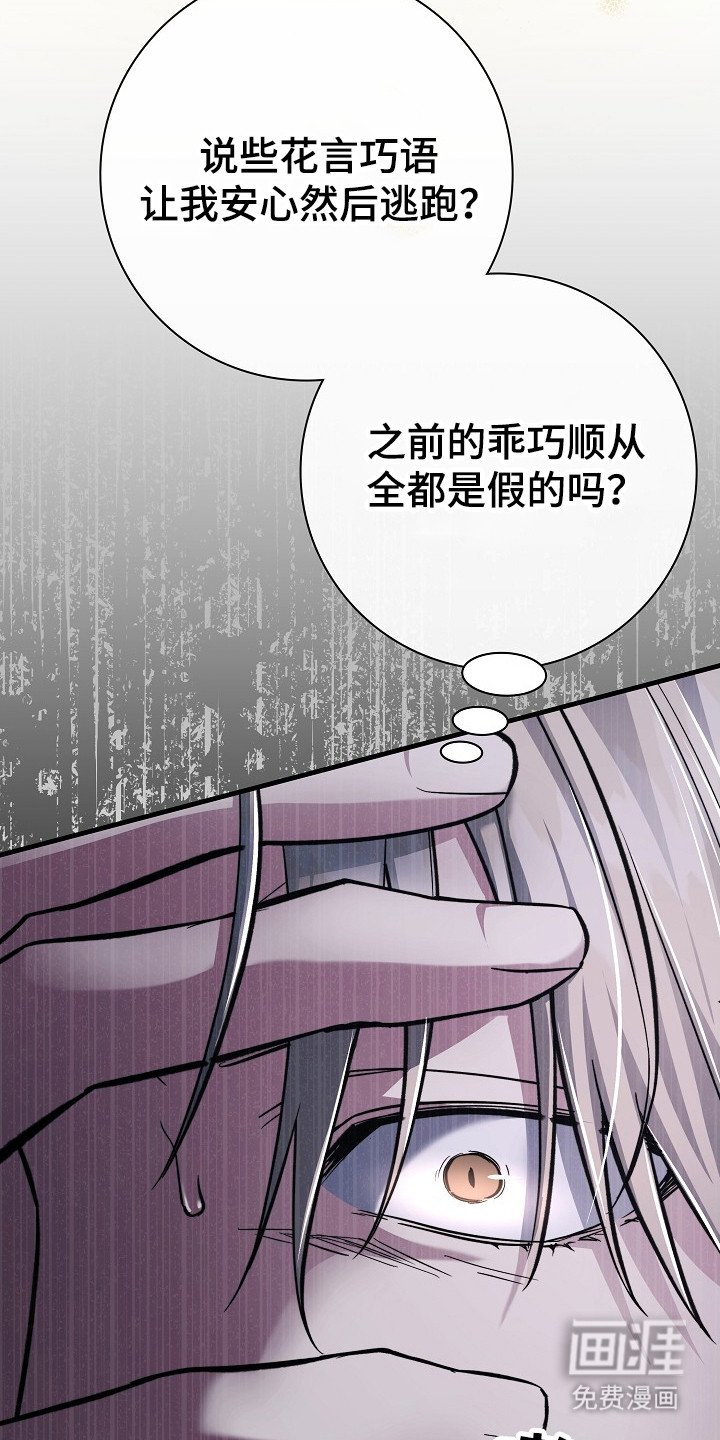 第16章： 失去理智