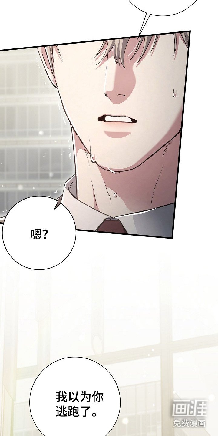第16章： 失去理智