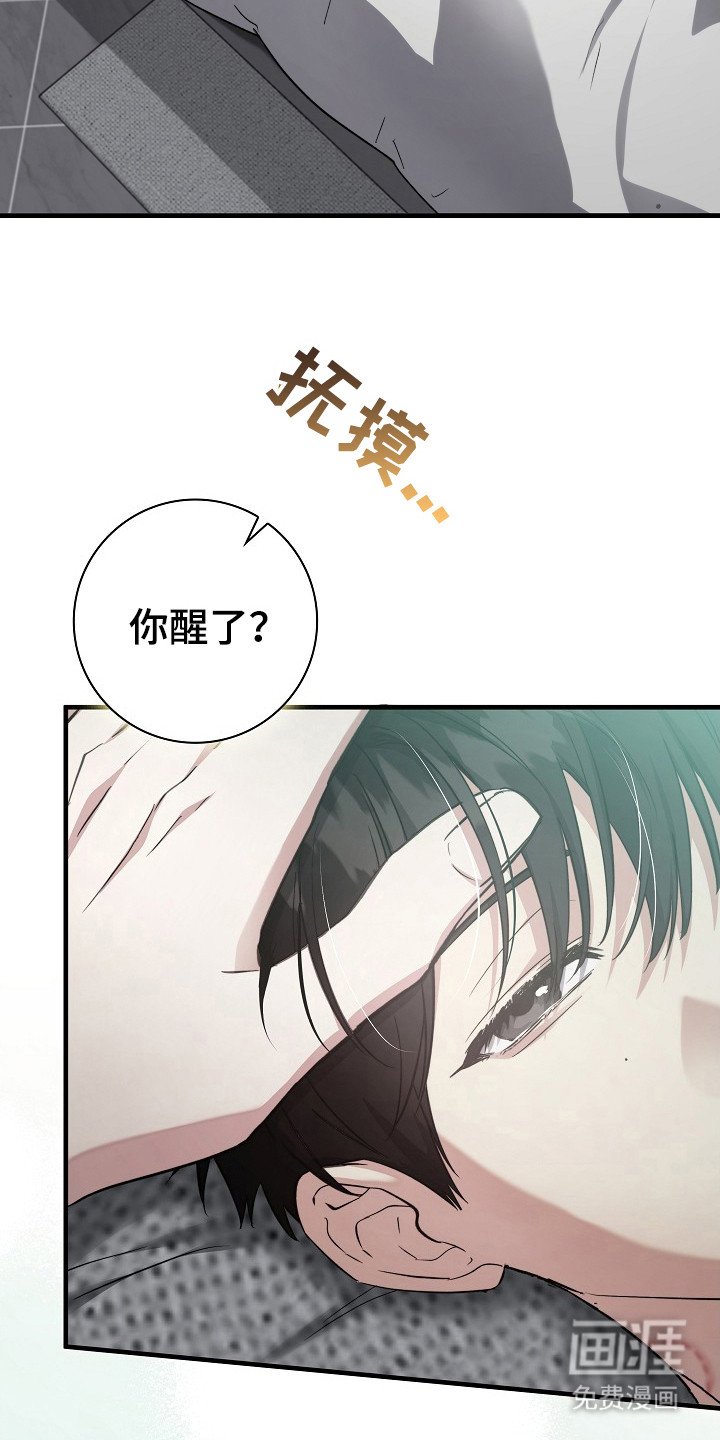 第19章：私心