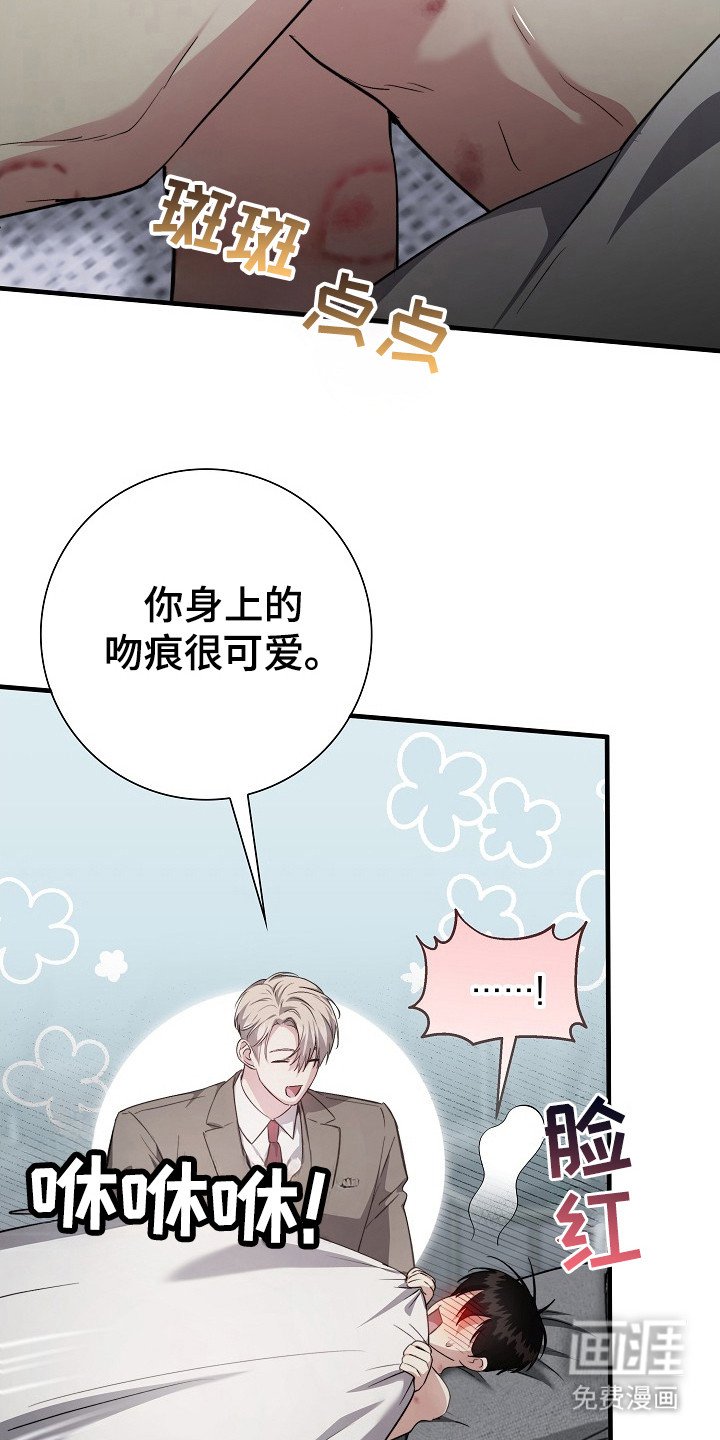 第19章：私心
