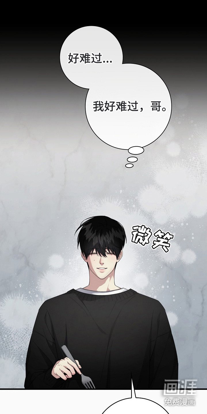 第3章：信息素