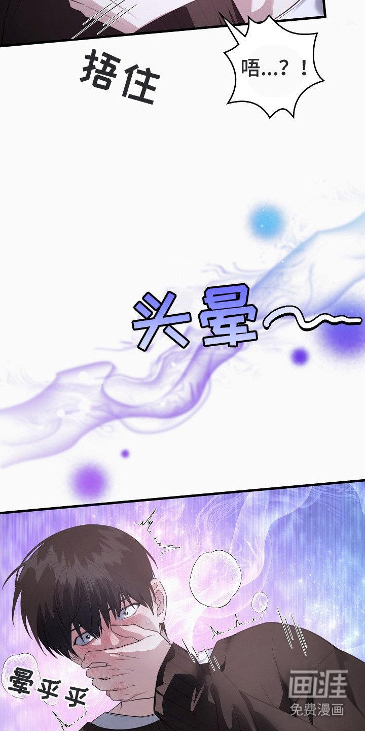 第3章：信息素