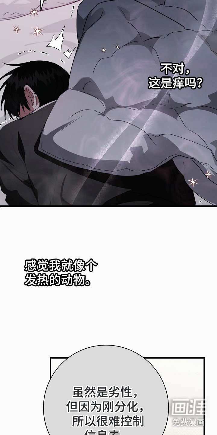 第4章：影响