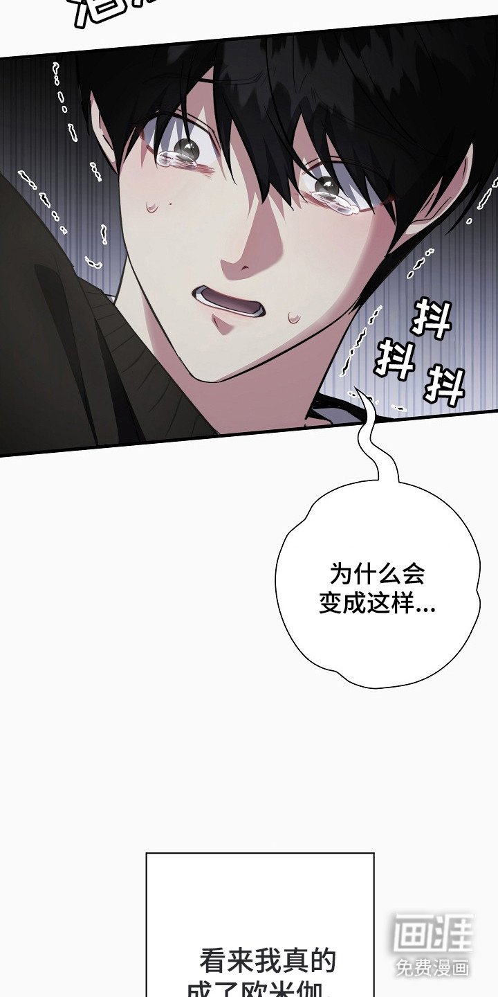 第4章：影响