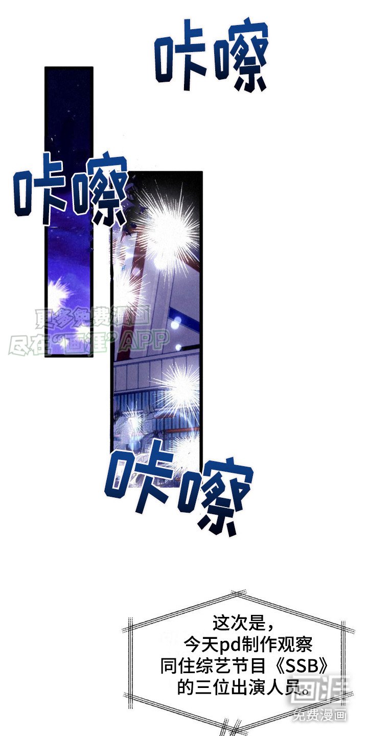 第7章：最佳情侣奖（完结）
