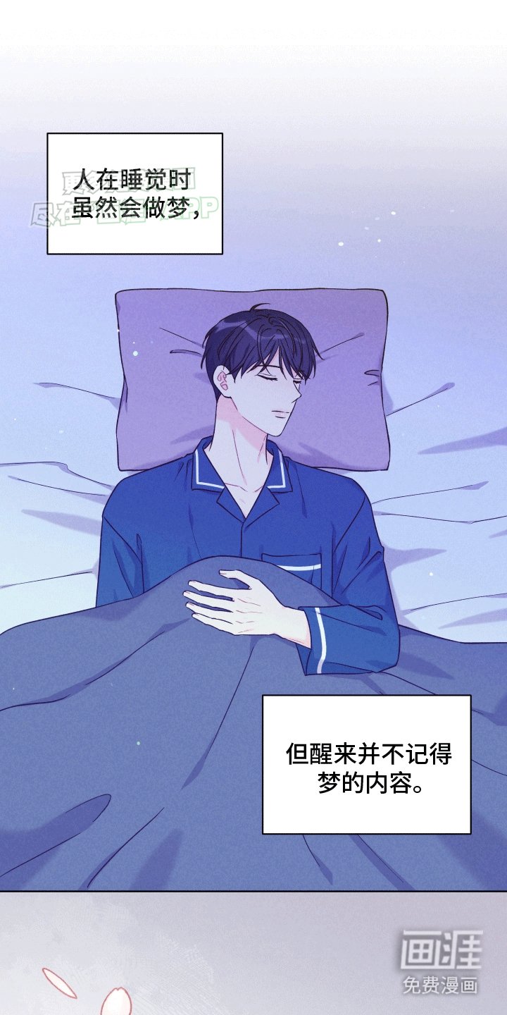 第1章：梦中的男人