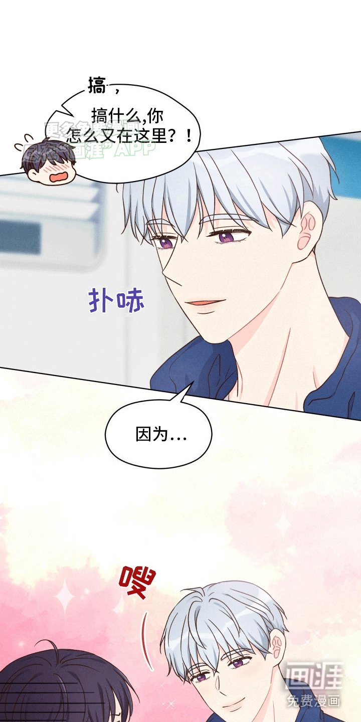 第3章：荒唐过后