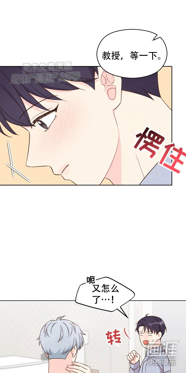 第5章：看电影