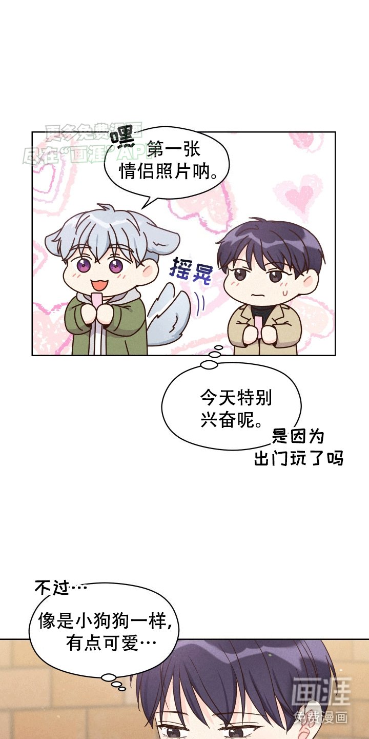 第5章：看电影