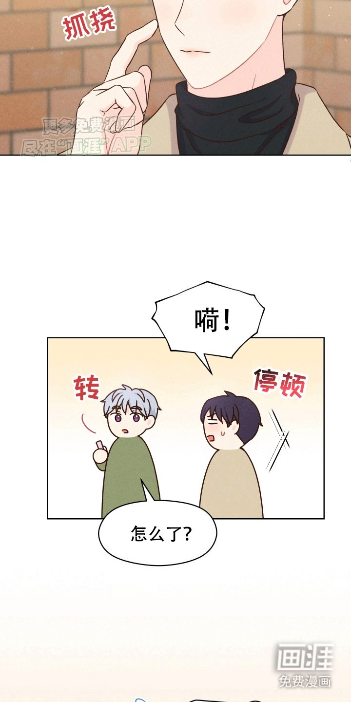 第5章：看电影