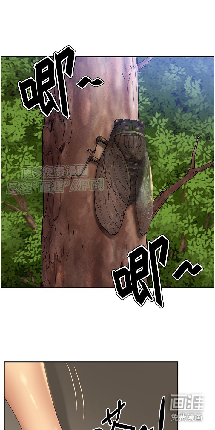 第1章：美好遐想