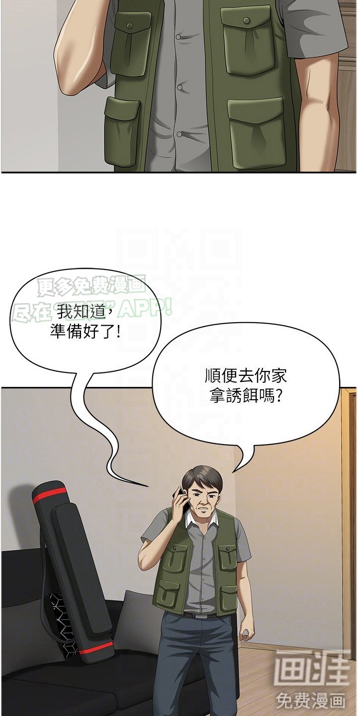 第13章：动静