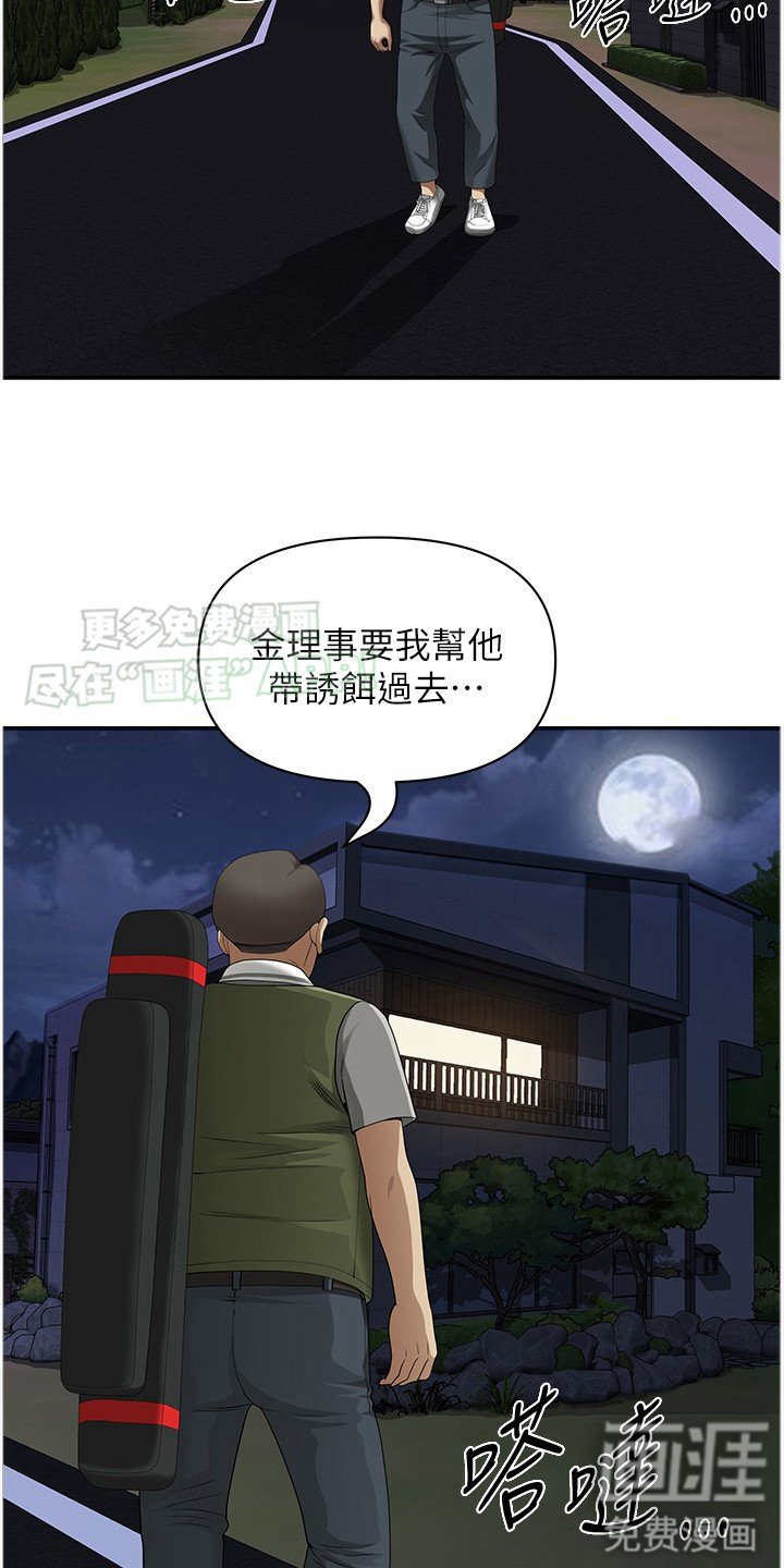 第13章：动静