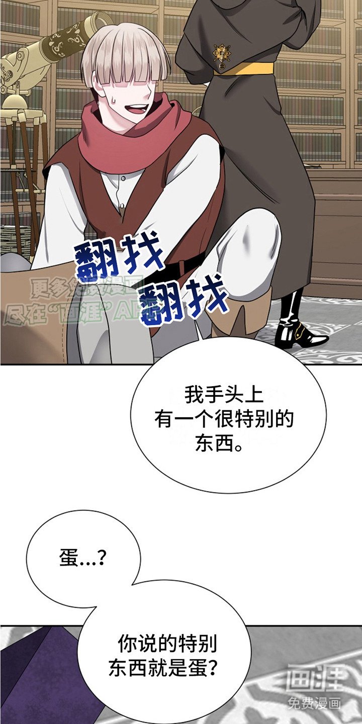 第2章：魔法蛋