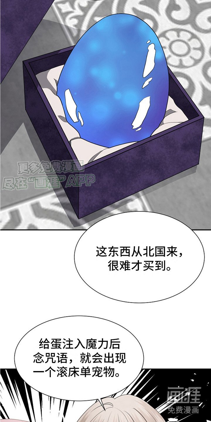 第2章：魔法蛋