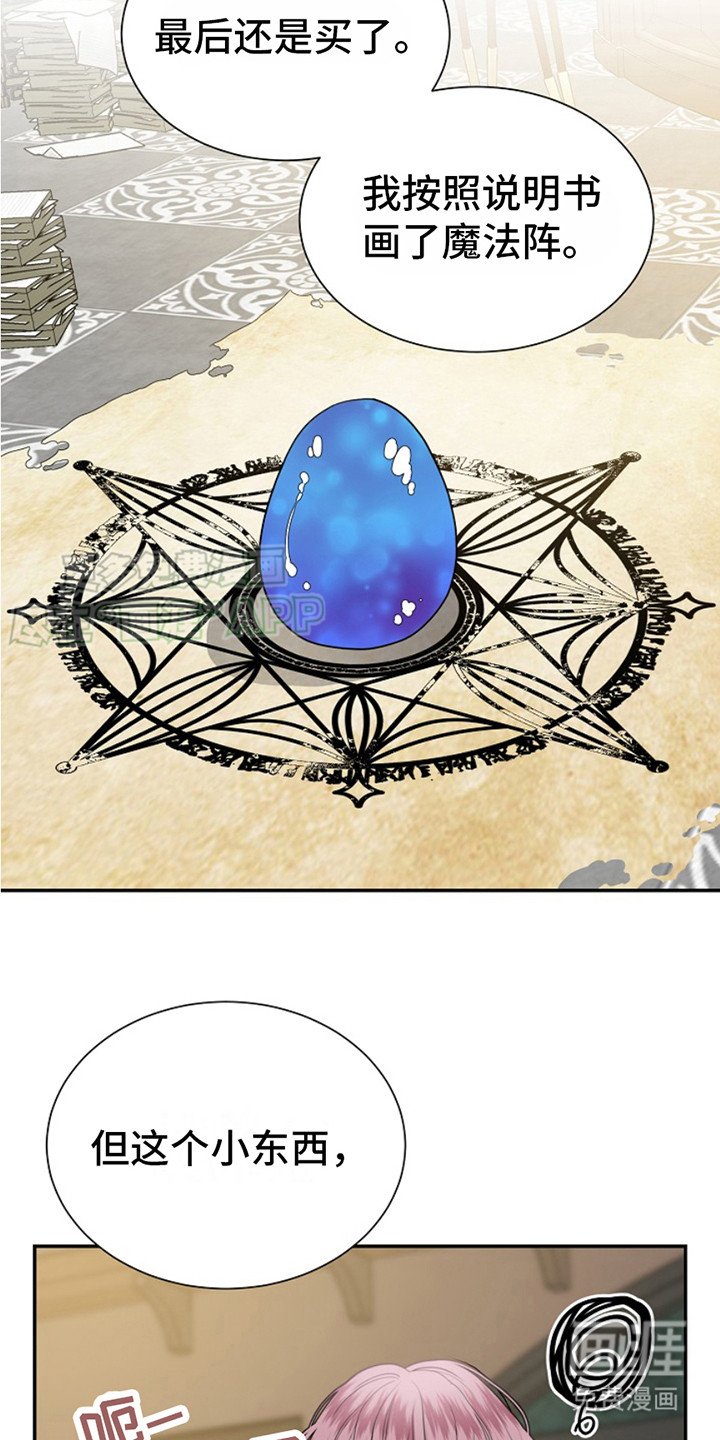 第2章：魔法蛋