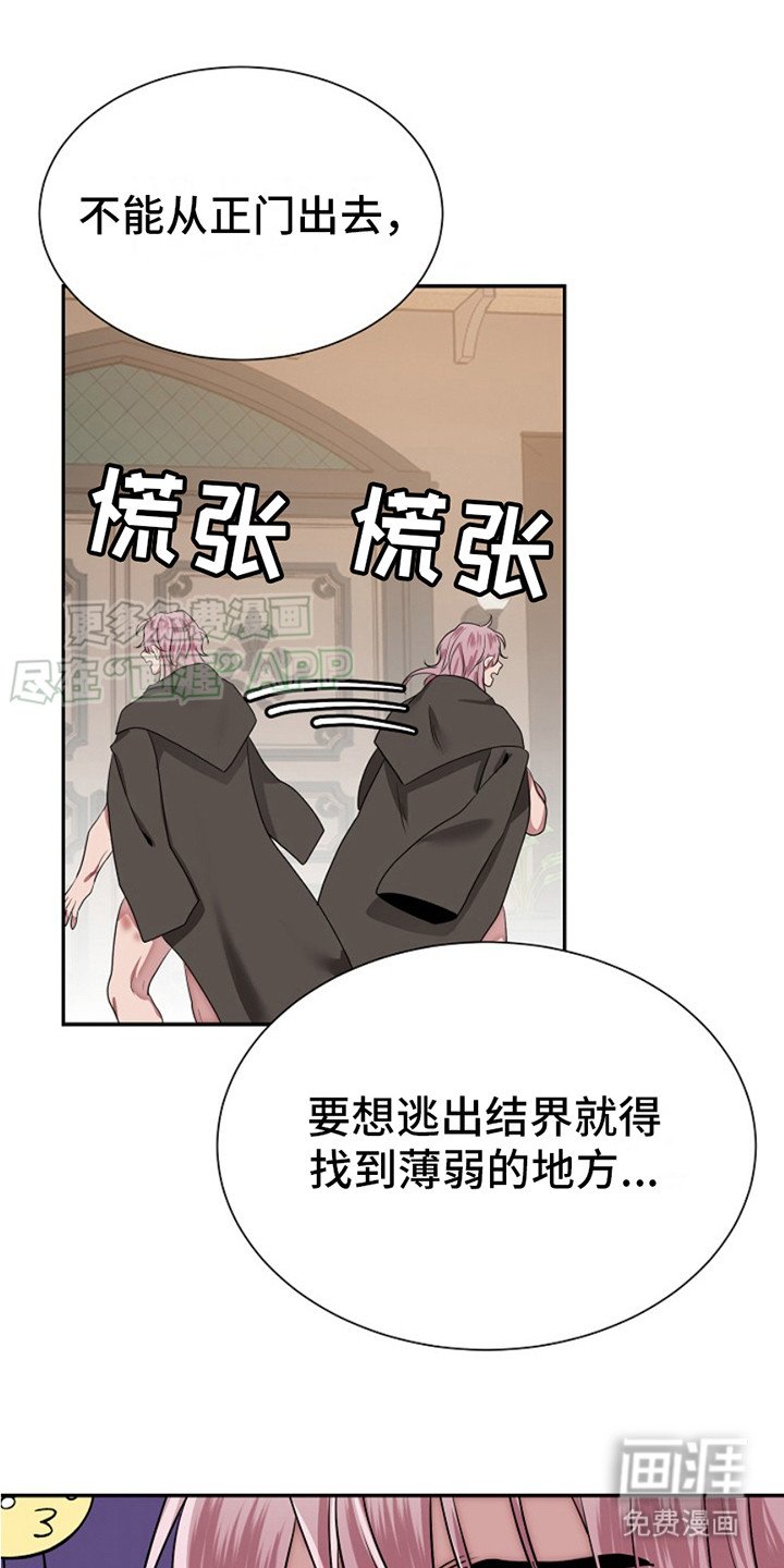 第5章：看这里