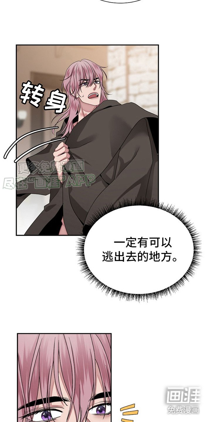 第5章：看这里
