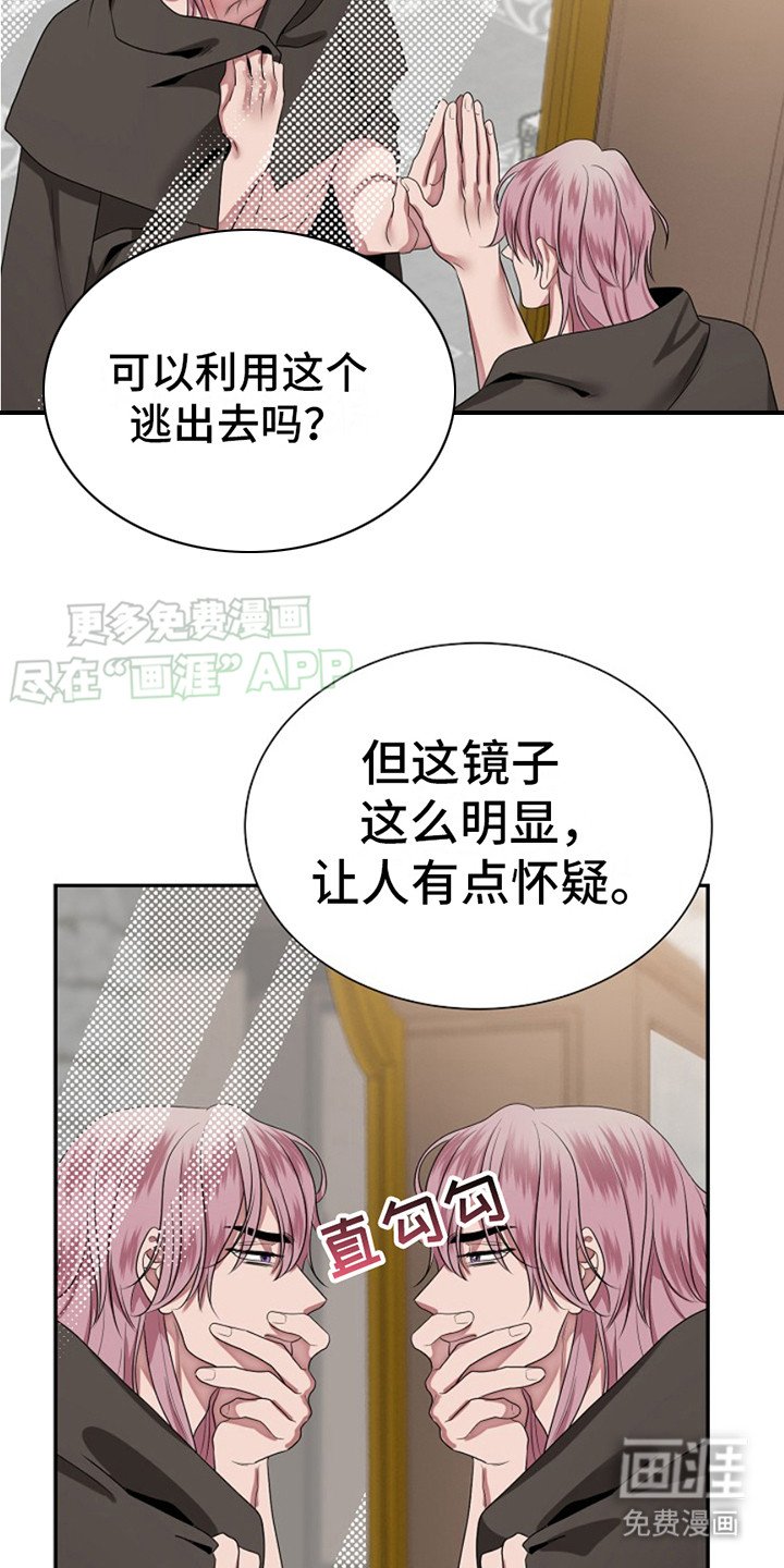 第5章：看这里