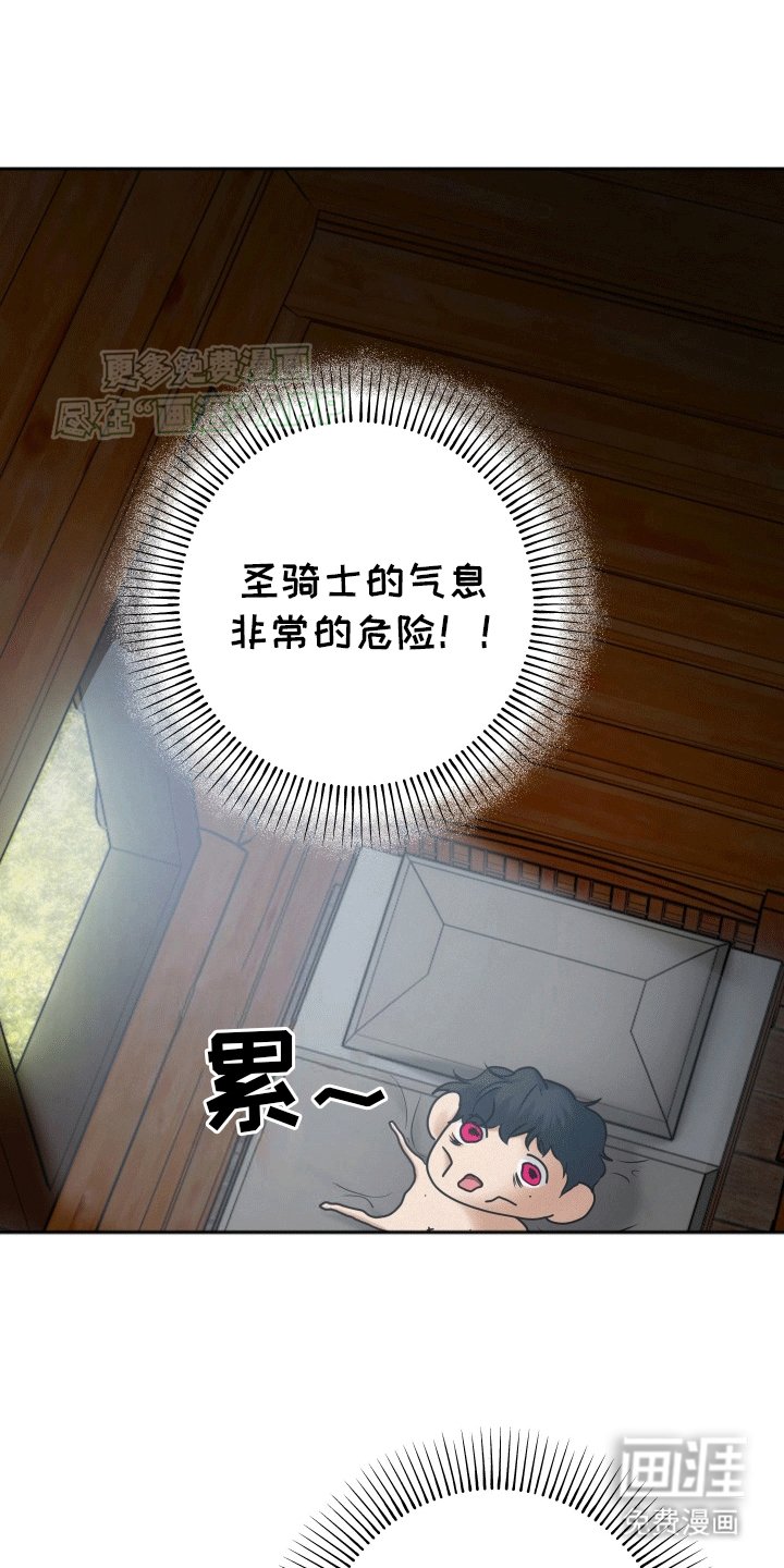 第6章：骑士