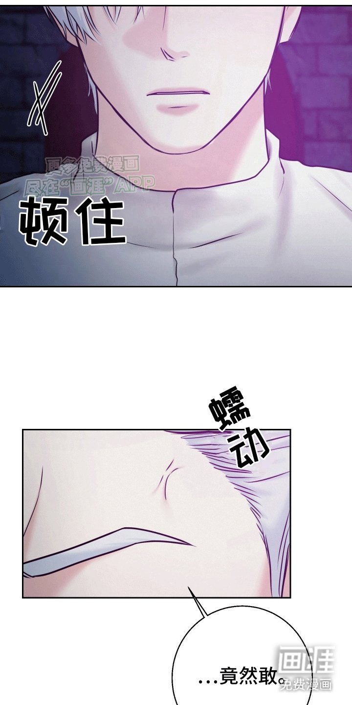 第6章：骑士