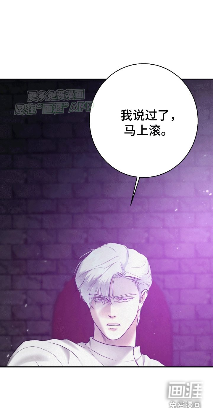 第6章：骑士