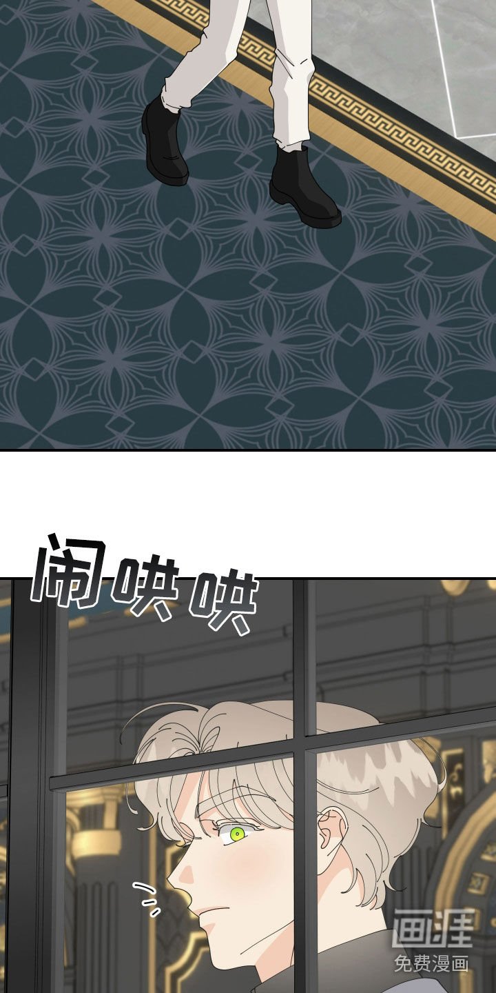 第26章：视而不见