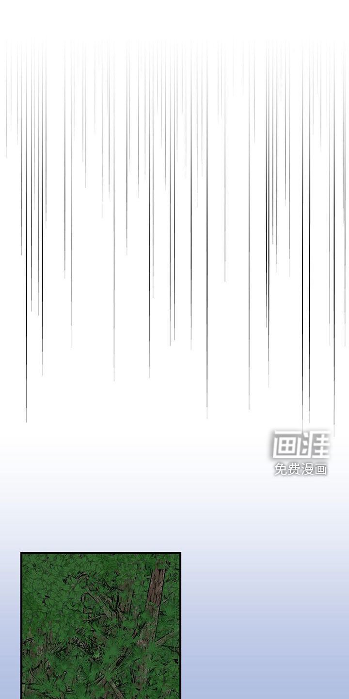 第36章：全力准备