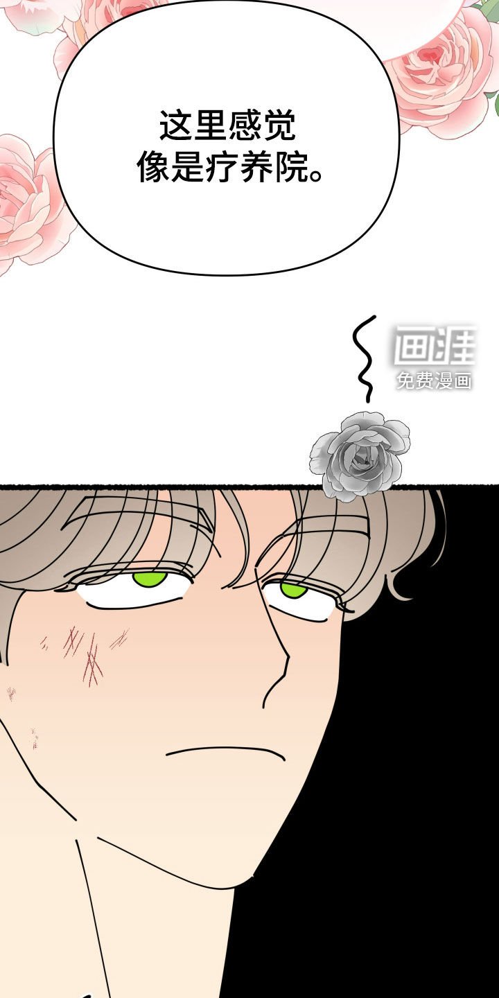 第45章：【第二季】宝石