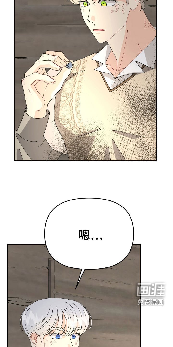 第45章：【第二季】宝石