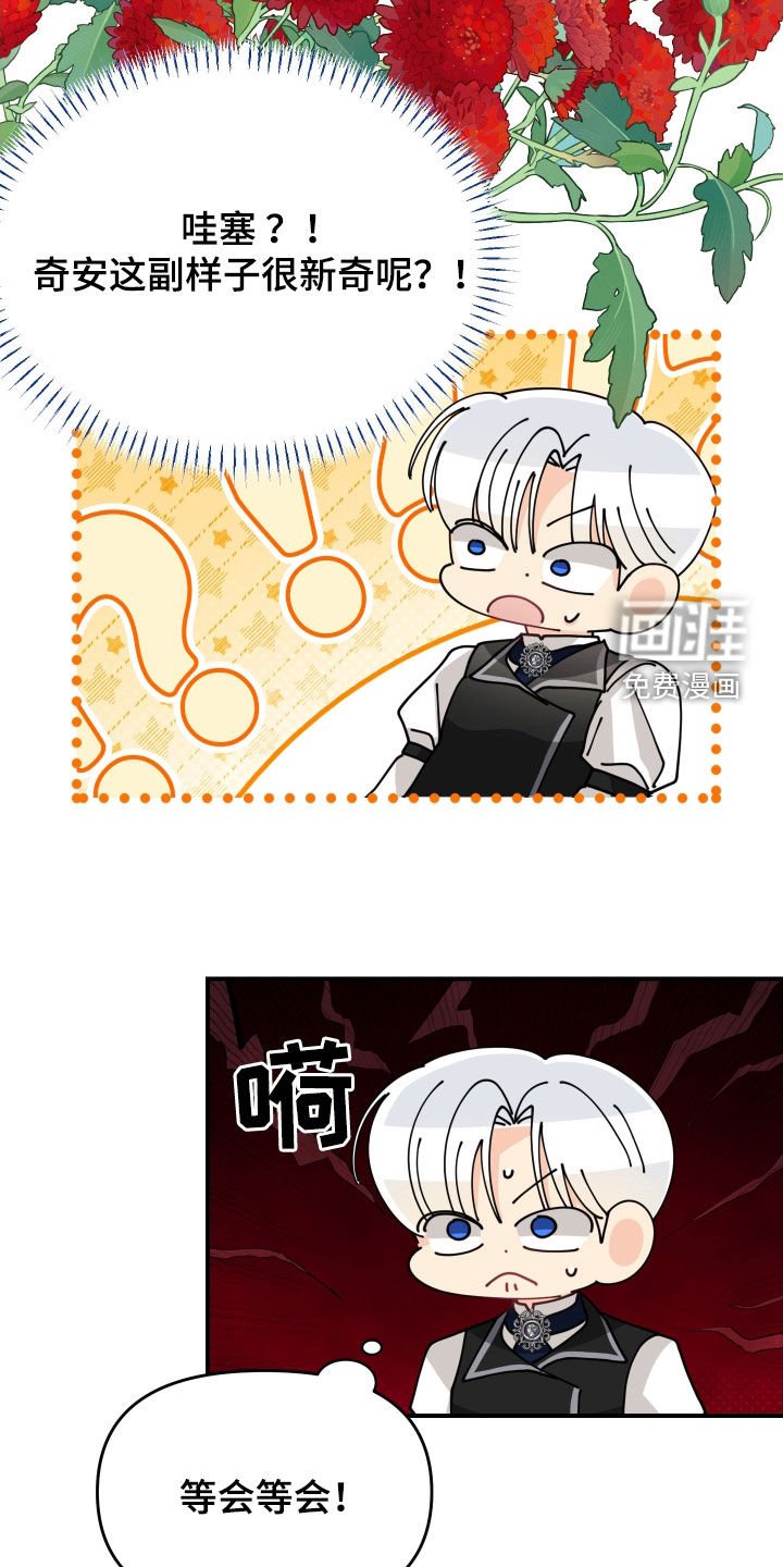 第62章：【第二季】人生讲究时机