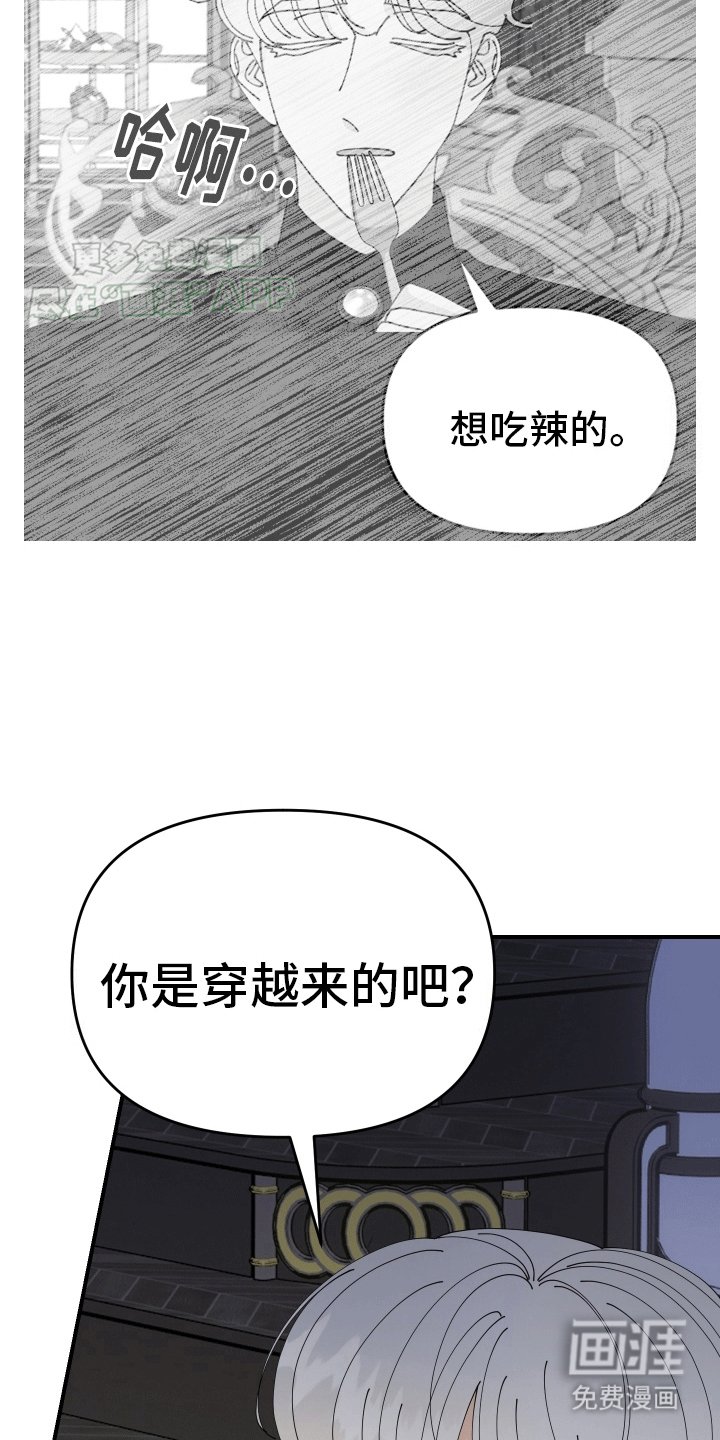 第8章：对策