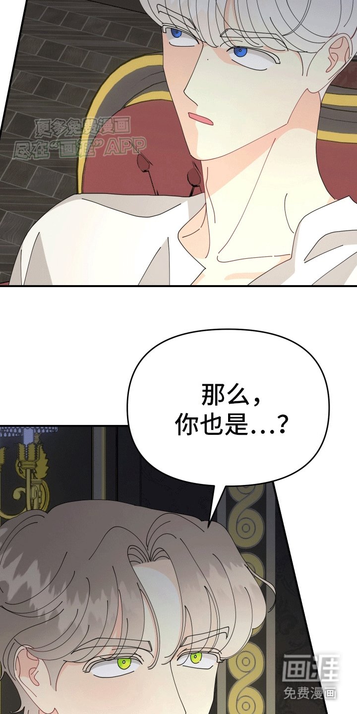 第8章：对策