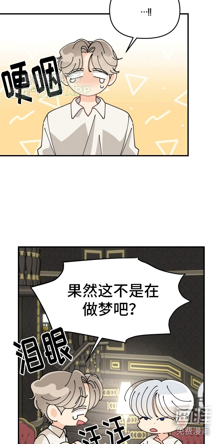 第8章：对策