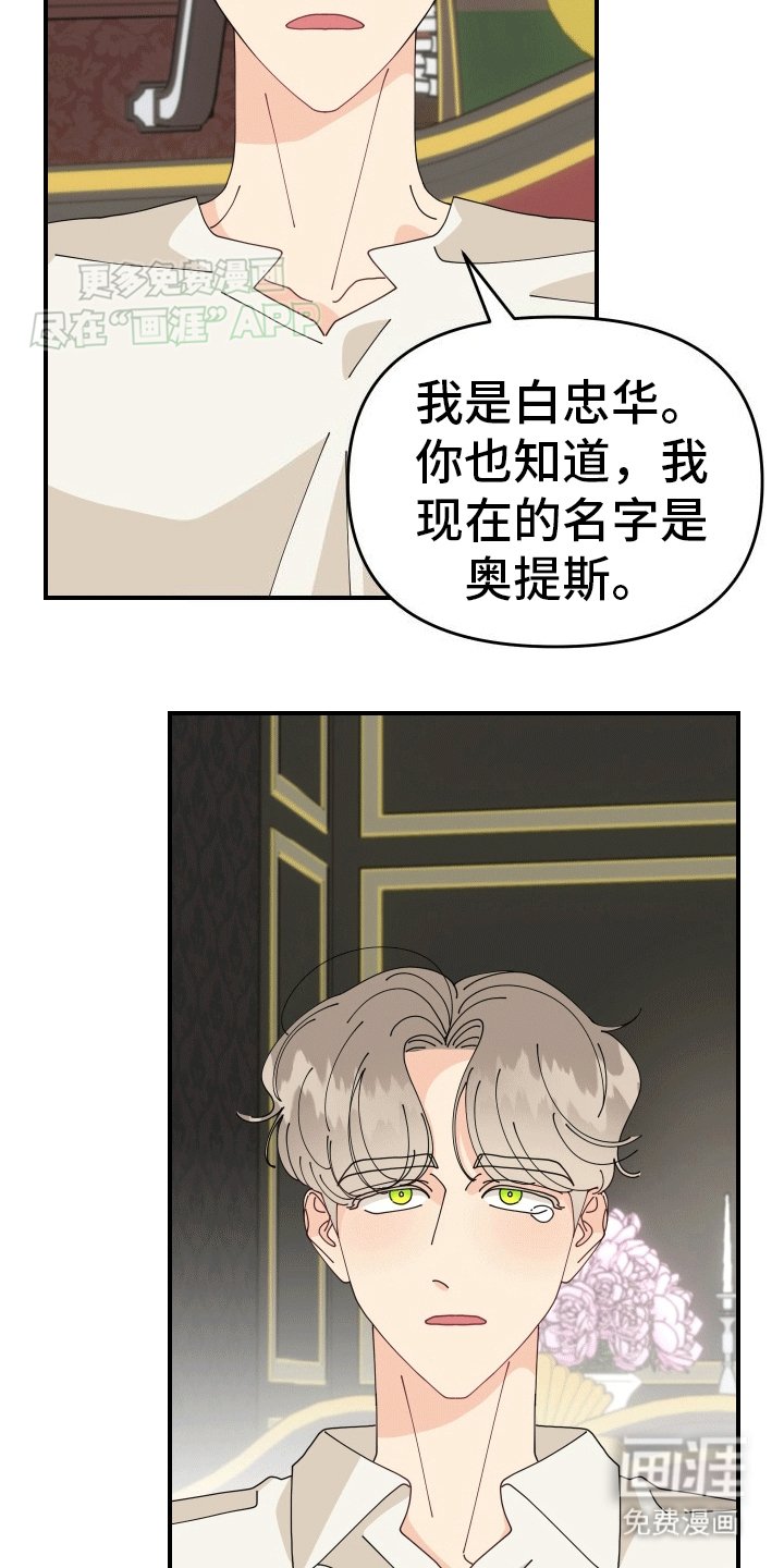 第8章：对策