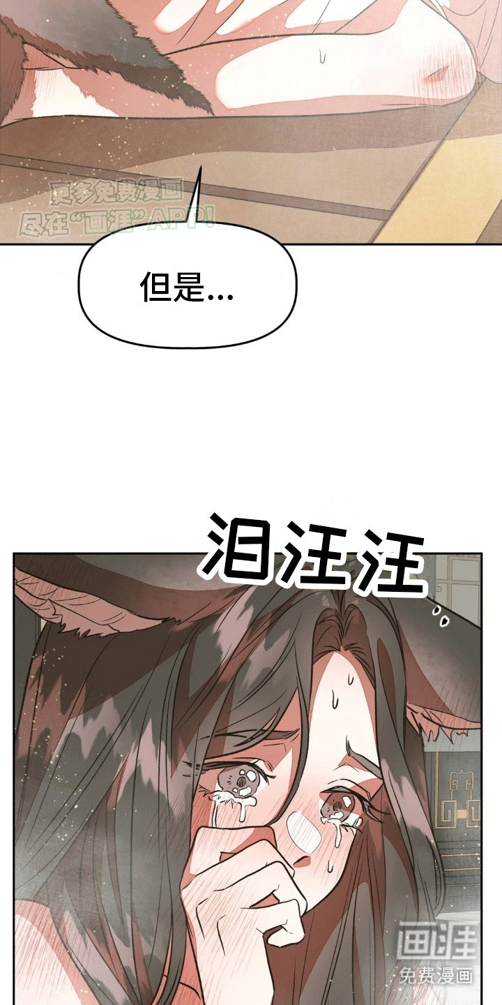 第11章：最正确的决定（完结）