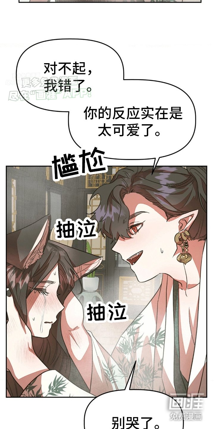 第11章：最正确的决定（完结）